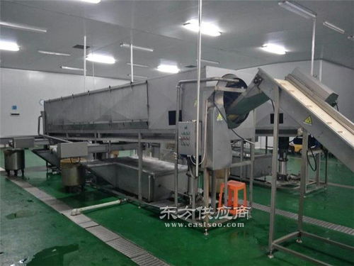 小型核桃仁去皮機 天津富瑞德食品機械的創新解決方案