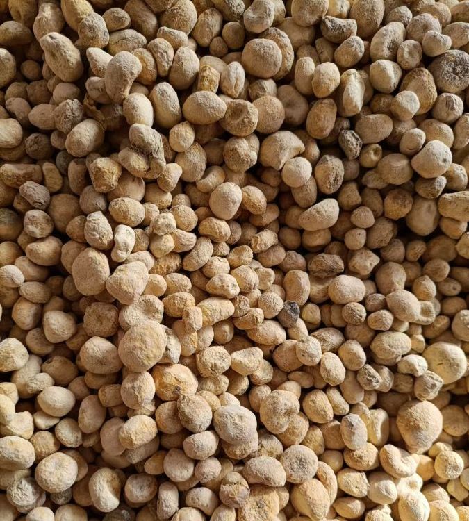 天然本草，健康之選 慶騰堂藥業(yè)精選無(wú)硫楮實(shí)子